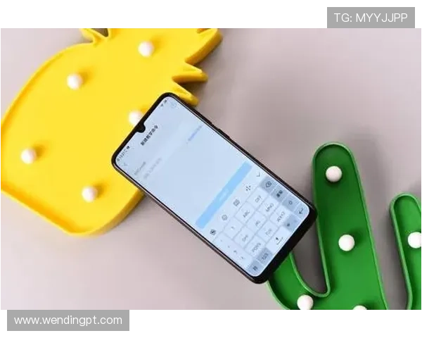 问鼎国际官网入口手机版常见问题及解决方案，确保玩家顺利登录游戏享受最佳体验