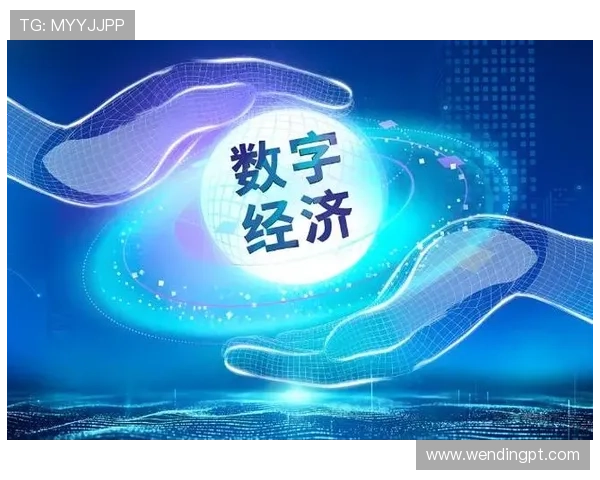 问鼎数字站：引领未来数字经济发展的新标杆